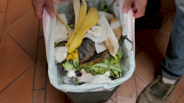 Best Residential Junk Removal  in Tusculum, TN